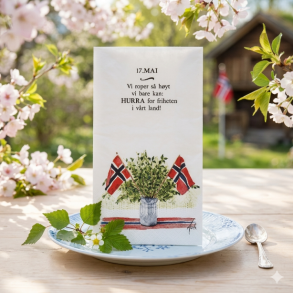 SERVIETT BUFFET (33 X 40 CM)