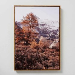 NYDELIG LERRETSBILDE MED TRERAMME, SKOGSMOTIV, 50 X 70 CM