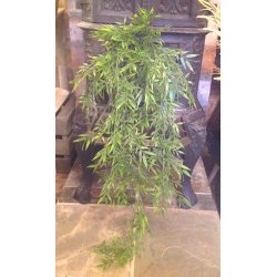 LEKKER BAMBUS HENGEPLANTE, L 90 CM