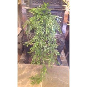 LEKKER BAMBUS HENGEPLANTE, L 90 CM