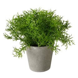 GR�NN PLANTE I POTTE, 16 X 18 CM