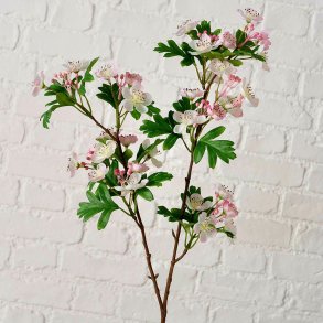 NYDELIG KIRSEB�RGREN, ROSA, H 76 CM