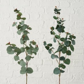 EUCALYPTUS GREN, H 75 CM