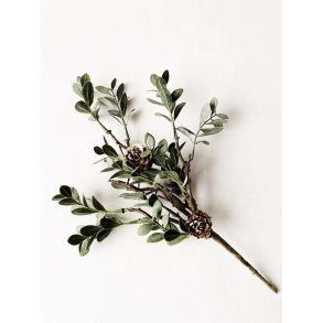 NYDELIG KVIST MED KONGLER OG BLADER, 26 CM