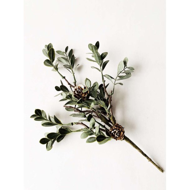 NYDELIG KVIST MED KONGLER OG BLADER, 26 CM