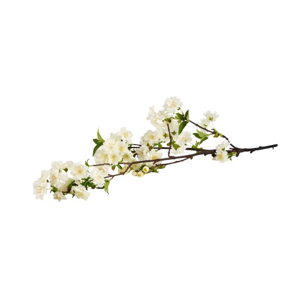 NYDELIG KIRSEB�RGREN, HVIT, H 90 CM