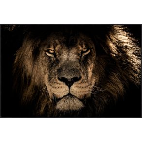 EKSKLUSIVT BILDE MED L�VEMOTIV, TEMPERERT GLASS, 70 X 105 CM