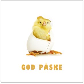 NYDELIG P�SKESERVIETT MED KYLLING, LUNCH