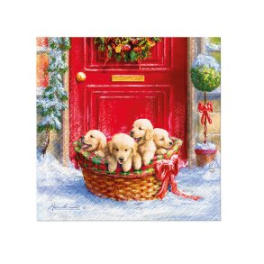 KOSELIG JULESERVIETT MED VALPEMOTIV, LUNCH