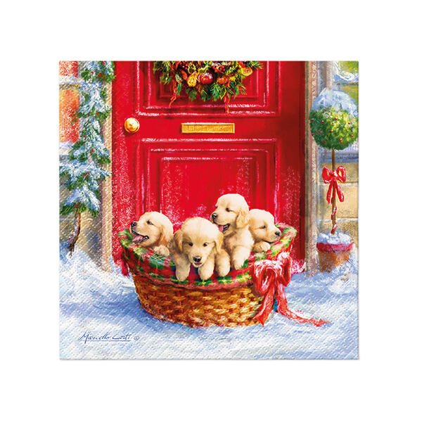 KOSELIG JULESERVIETT MED VALPEMOTIV, LUNCH