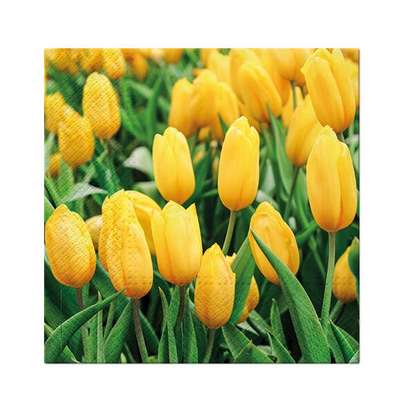 NYDELIG SERVIETT MED GULE TULIPANER, LUNCH