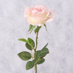 VAKKER ROSA ROSE, H 60 CM