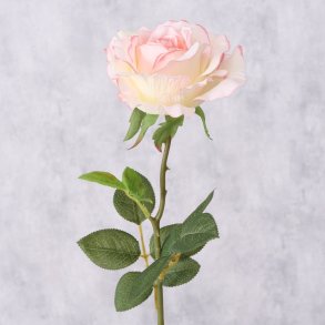 VAKKER ROSA ROSE, H 60 CM