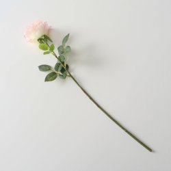 VAKKER ROSA ROSE, H 60 CM