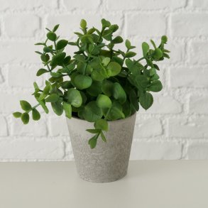 GRNN PLANTE I POTTE, 16 X 18 CM