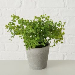 GRNN PLANTE I POTTE, 16 X 18 CM