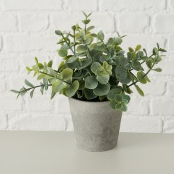 GRNN PLANTE I POTTE, 16 X 18 CM