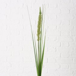 NYDELIG STR, PAMPAS, GRNN, H 95 CM