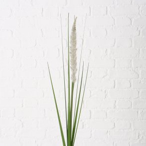 NYDELIG STR, PAMPAS, HVIT, H 95 CM