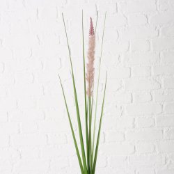 NYDELIG STR, PAMPAS, ROSA, H 95 CM