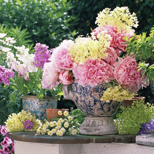 NYDELIG SERVIETT MED HORTENSIA I KRUKKE, KAFFE