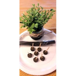 LAKRIS STANG S�T LAKRIS, 50 GR.