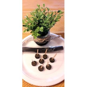 LAKRIS STANG S�T LAKRIS, 50 GR.