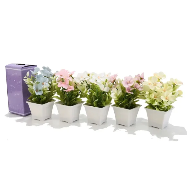 SKJNN VRBLOMST I POTTE, H 17 CM