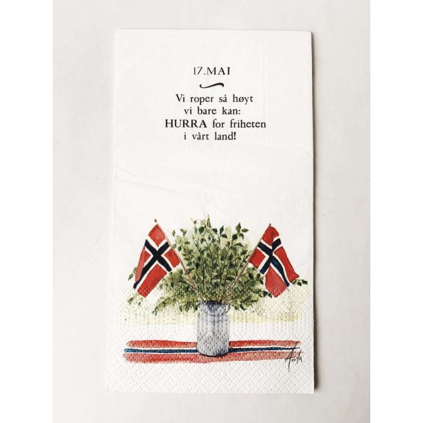 VAKKER BUFFET SERVIETT MED 17. MAI MOTIV OG TEKST, 33 X 40 CM