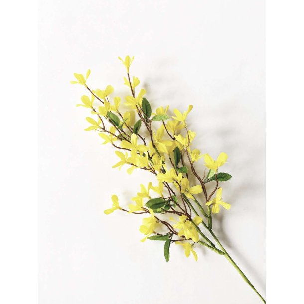 FORSYTHIA GREN MED GULE BLOMSTER, 50 CM